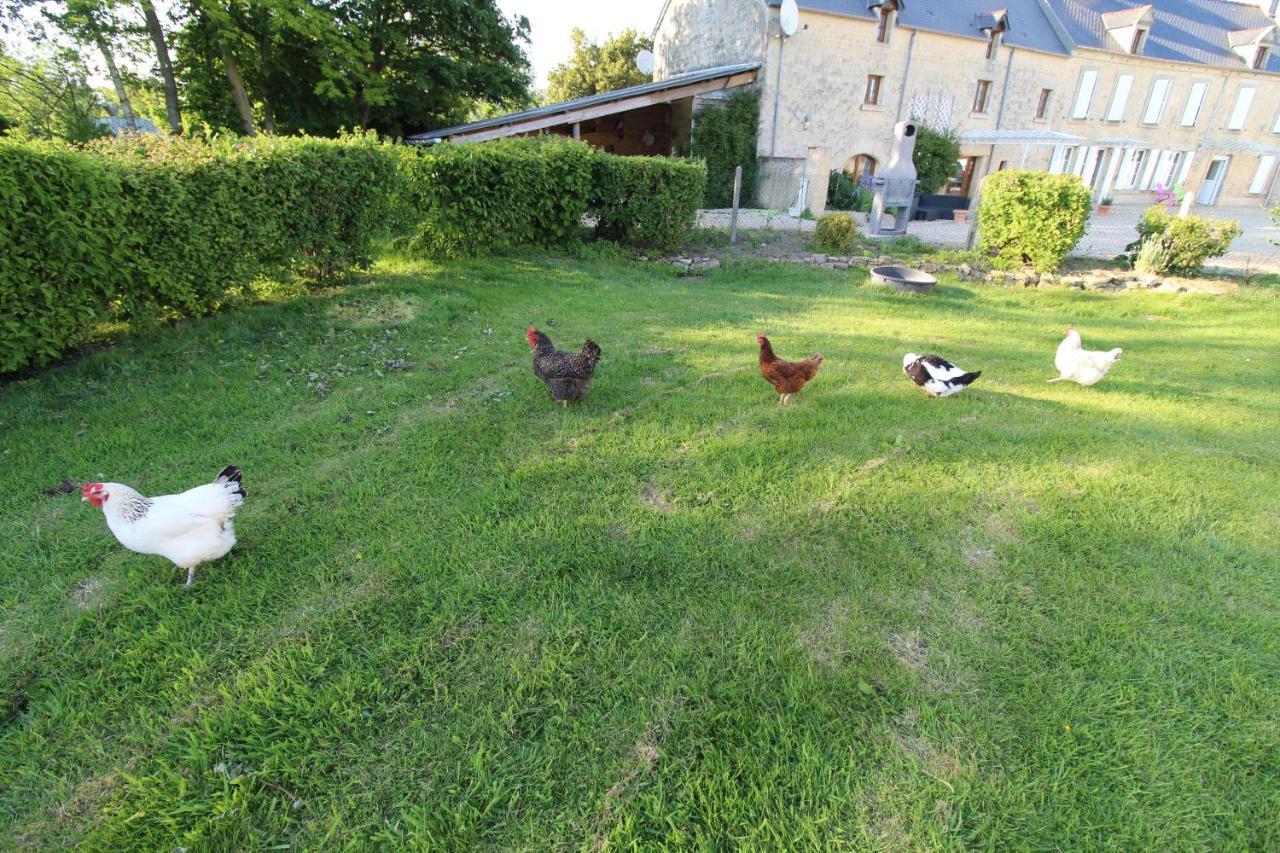 La Ferme Aux Chats Formigny Bagian luar foto